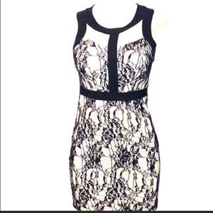 Xoxo nude and black dress